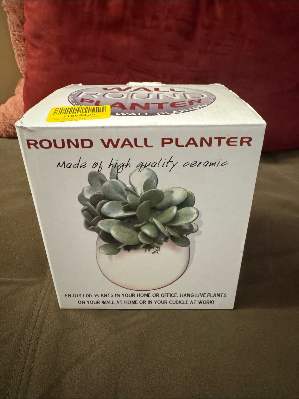 Round Wall Planter Ceramic Hanging Pot